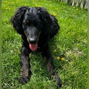 Meet your Posher, Marianna